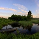 Early Morning on Russian North